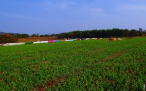 Pročitajte više o članku Što je puls?