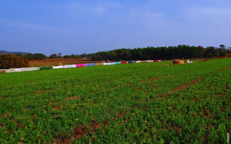 Pročitajte više o članku Što je puls?