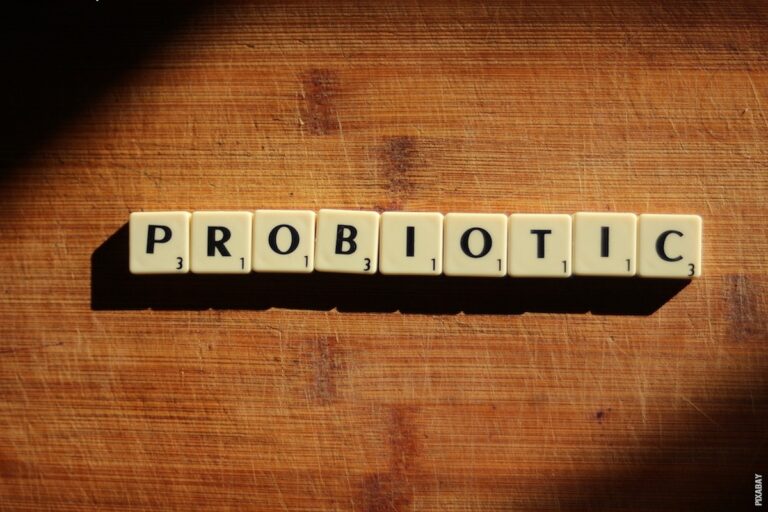 Pročitajte više o članku Što su probiotici i prebiotici?