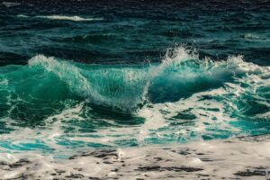 Pročitajte više o članku Koji se valovi mogu polarizirati