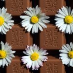 Koji su grijesi za ispovijed