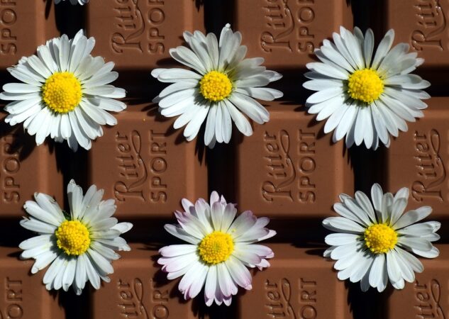 Koji su grijesi za ispovijed