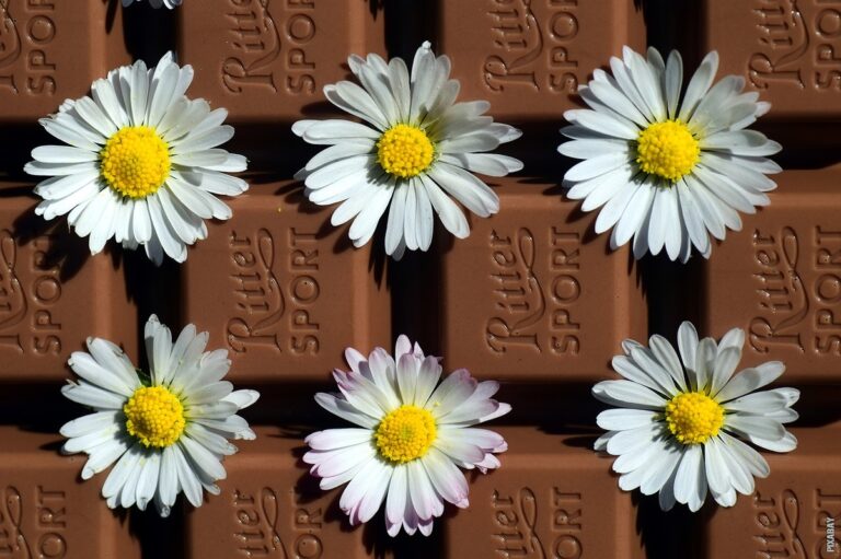 Pročitajte više o članku Koji su grijesi za ispovijed