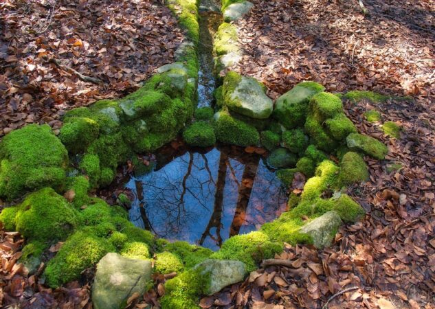 Koji su izvori autoriteta