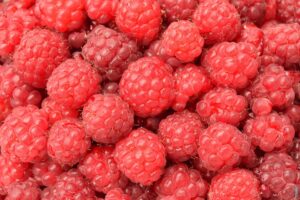 Pročitajte više o članku Koji su produkti gorenja