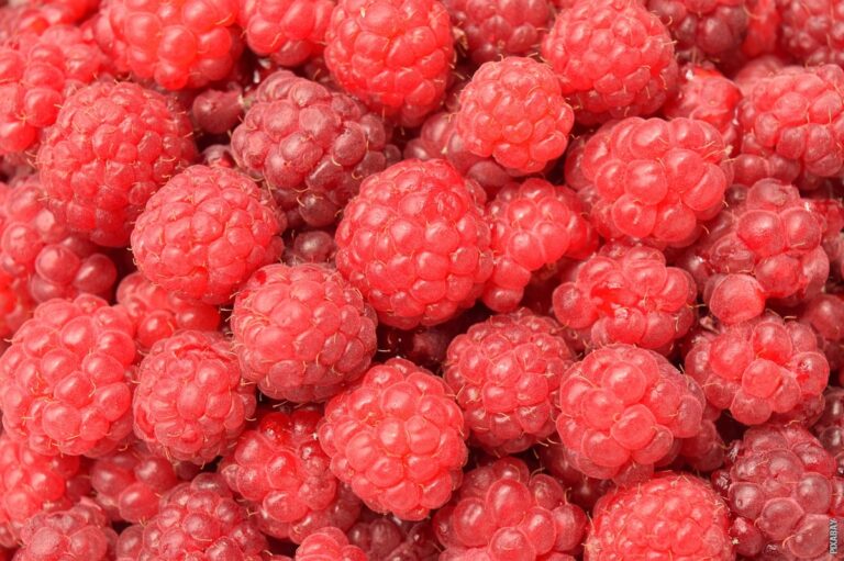 Pročitajte više o članku Koji su produkti gorenja