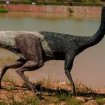 Kako znamo kako su izgledali dinosauri?