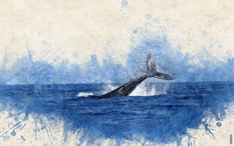 Pročitajte više o članku Kako kitovi i delfini dišu?