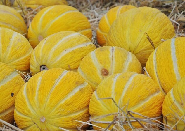 Je li dinja voće ili povrće?