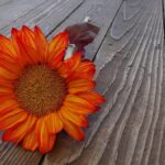 Koliko je zemalja na svijetu