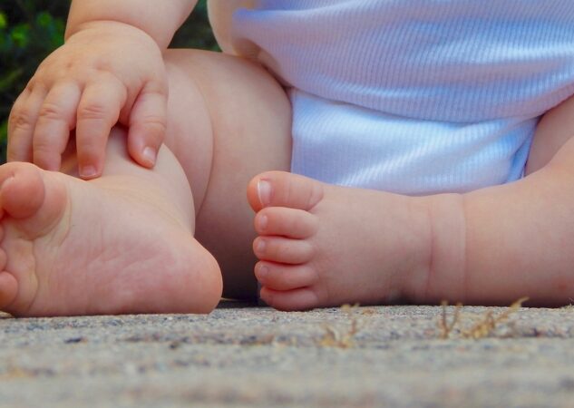 Koliko se čeka domovnica