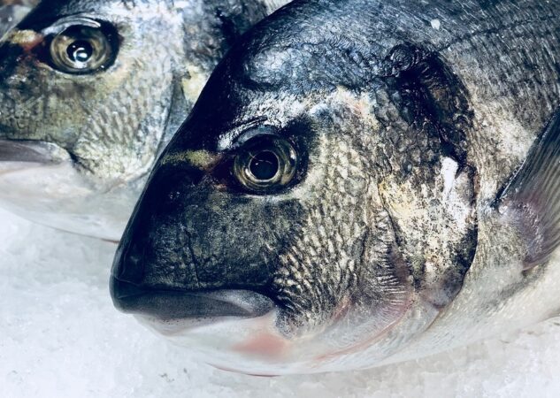 Koliko se peče orada u pećnici