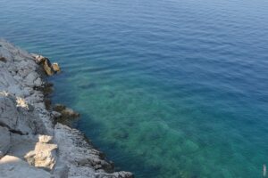 Pročitajte više o članku Koliko su hrtovi kao rasa stari