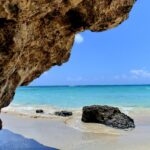 Jesu li krtice slijepe?