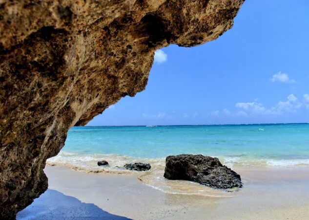 Jesu li krtice slijepe?