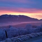 Odakle su Peća i Neća