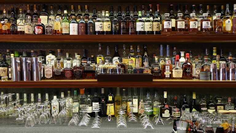 Pročitajte više o članku Sa čim se pije vodka